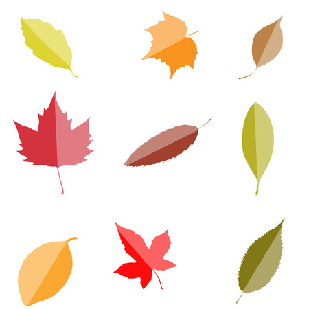 fall leaves set, isolated on white background. autumn simple cartoon flat style, vector illustration.のイラスト素材