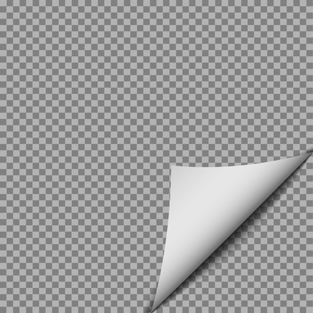 White gradient Paper curl with shadow isolated on transparent background. Turn magazine sheet. . Vector template illustration for your designのイラスト素材