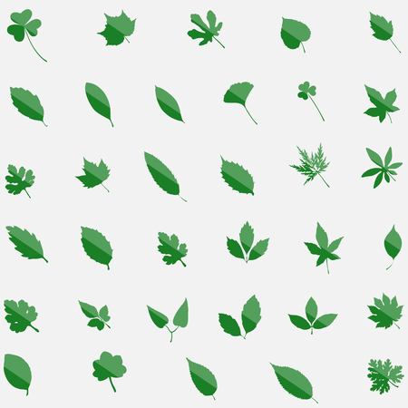 Green set of 35 leavs icons isolated on background. Modern flat pictogram concept. Trendy Simple vector symbol for web site design or button to mobile app.  illustrationのイラスト素材
