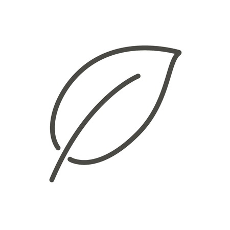 Leaf icon vector. Line nature symbol.のイラスト素材