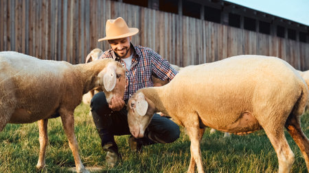 Happy joyful male farmer in motley shirt and hat playing with herd of sheep. Cuddling with lamb.の写真素材
