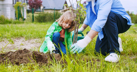 Happy cheerful small cute grandson sitting in garden with grandfather and planting little tree. Village house. Work at countryside. Boy with grandpa planting trees on sunny nice spring day. Close up.の写真素材