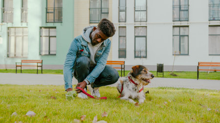 Casually dressed handsome guy collecting dog feces in plastic bag from green lawn near high building. Young african american man cleaning up outdoors after his lovely pet.の写真素材