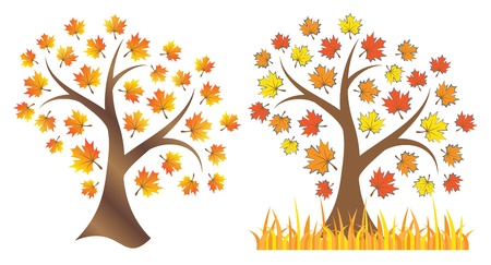 Autumn tree on white backgroundのイラスト素材