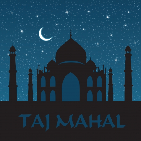 Taj Mahal in nightのイラスト素材