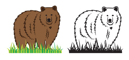 Bear on the grassのイラスト素材