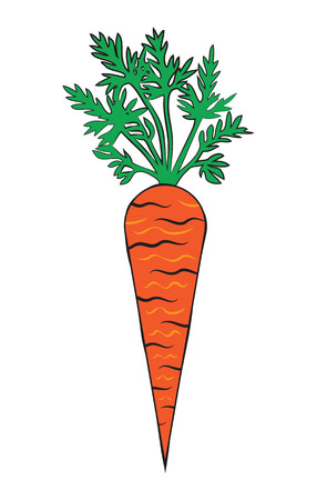 Carrotのイラスト素材