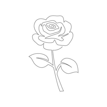 Rose One line drawing onのイラスト素材