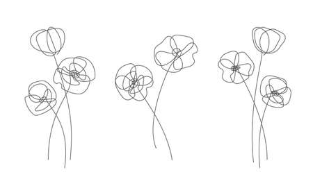 Poppy flower in line styleのイラスト素材
