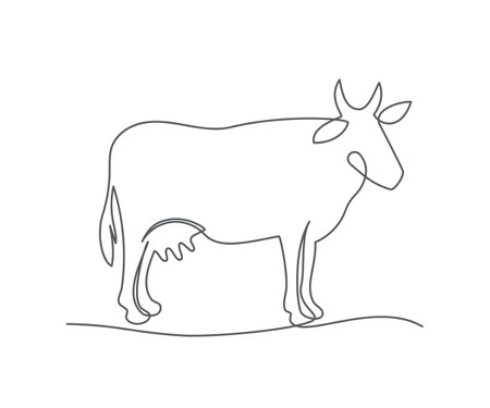 Cow One line drawing on white backgroundのイラスト素材