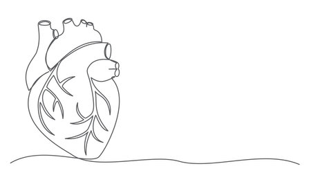 Heart human One line drawing on whiteのイラスト素材