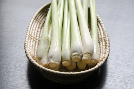 lemon grassの写真素材