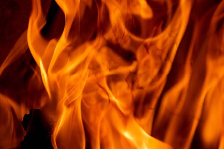 Bright dancing flames on black background