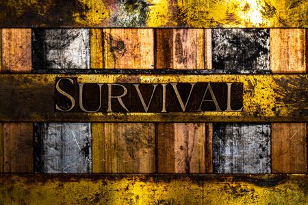 Survival text formed with real authentic typeset letters on vintage textured silver grunge copper and gold backgroundの写真素材