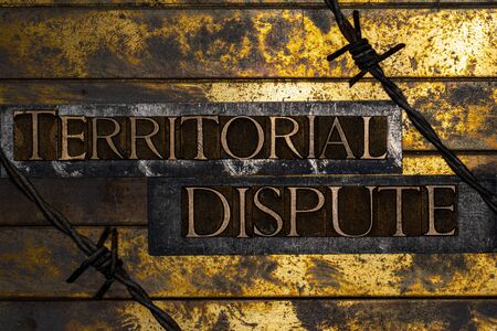 Territorial Dispute text formed with real authentic typeset letters on vintage textured silver grunge copper and gold backgroundの写真素材