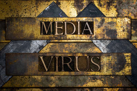 Media Virus text message on textured grunge copper and vintage gold background