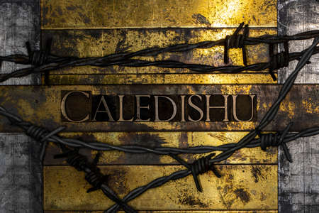 Caledishu text message surrounded by barbed wire on vintage textured grunge copper and gold backgroundの写真素材