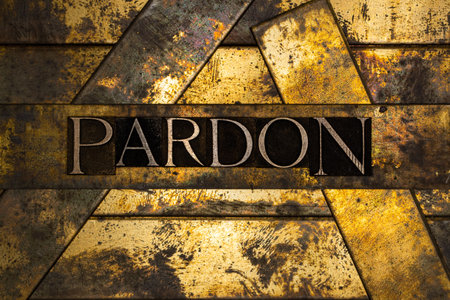 Pardon text on vintage textured bronze grunge copper and gold backgroundの写真素材