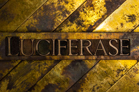 Luciferase text on vintage textured grunge copper and gold backgroundの写真素材