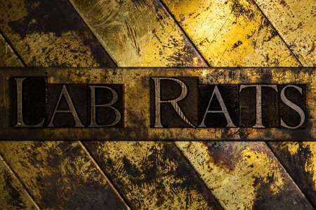 Lab Rats text on vintage textured grunge copper and gold backgroundの写真素材