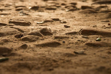 rough old ground