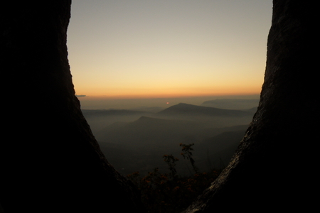 Forestの写真素材