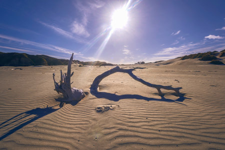 The desert sand abandoned dried of the heavy weather at strong sun lightの写真素材