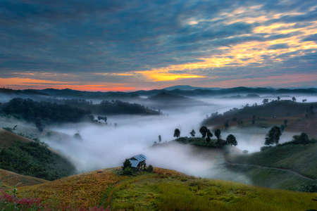 The scenery view of the sunrise and mist fog flowing in between the hills mountain, nature morning in the wildlifeの写真素材