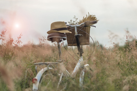 Picnic's Bicycle with flowers in basket is in the Meadow fieldの写真素材