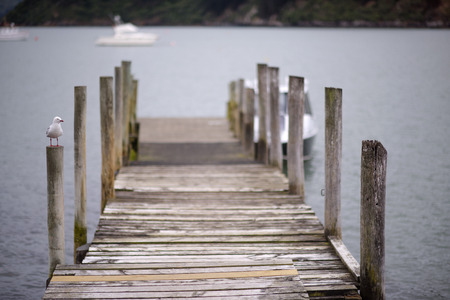 bird on the bridge with lake in backgroundの写真素材