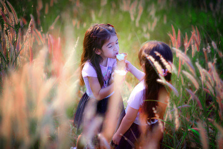 kids girls sharing icecream on each other on the field of meadowの写真素材