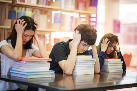 group of student upset in the subjects a lot to do, disaster project for student universityの写真素材