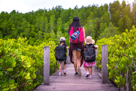 kids with parent enjoy walking on wooden bridge in the forest for field trip learning the nature of jungleの写真素材