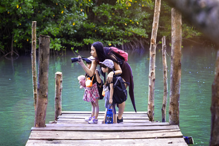 parent with kids chidlen are enjoy learning the nature on wooden bridge in the forest for field trip learning the nature life of jungleの写真素材