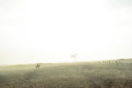 minimal horse riding in the field of the mist mystery foggyの写真素材