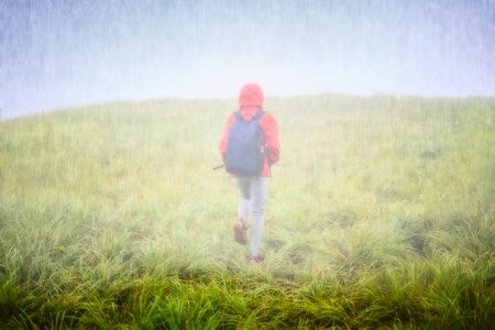 woman traveler treking alone upon grass of hill in the mountain with shower of raining and mist on the wayの写真素材