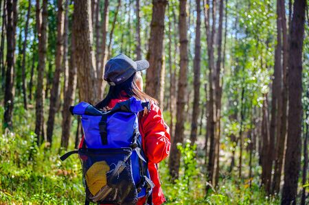 woman backpacker walks alone enyjoy the forest nature in the morninglifeの写真素材