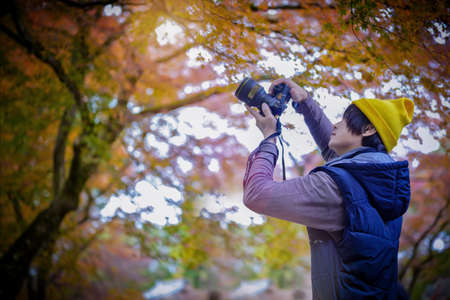 man traveler tourist enjoy taking picture of autumn leafs falling in garden park of Japan, walking...