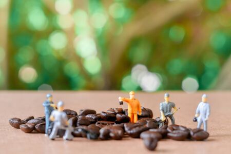 Group of teamwork miniature people, small model human figure cleaning coffee beans on wooden table...