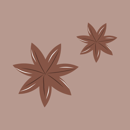 Star anise isolated on a brown background.のイラスト素材