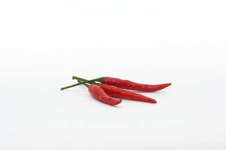 Hot red  pepperの写真素材