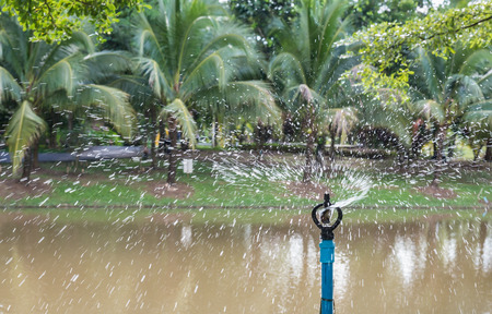 sprinkle spray water to gardenの写真素材