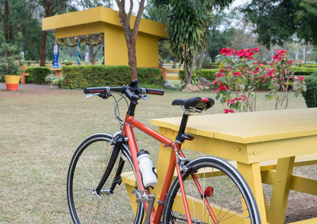 bicycle in the parkの写真素材