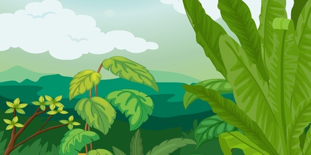 Lush plants and fern illustrationのイラスト素材