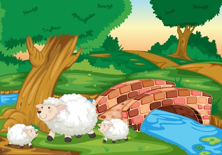 Illustration of sheep in fieldのイラスト素材