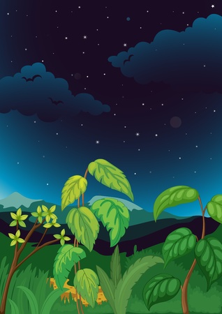 Illustration of night time plant backgroundのイラスト素材
