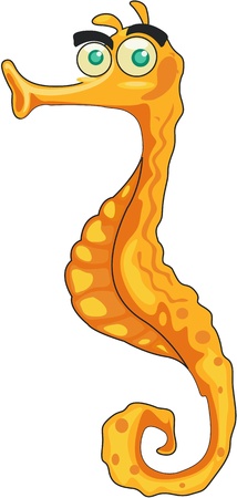 Illustration of  a seahorse on whiteのイラスト素材