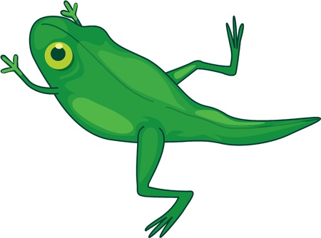 Illustration of  a cartoon frog on whiteのイラスト素材