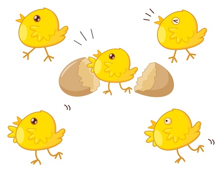 Illustration of checken and breeding eggのイラスト素材