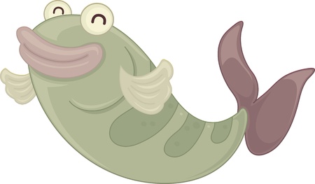 Illustration of single fish on whiteのイラスト素材